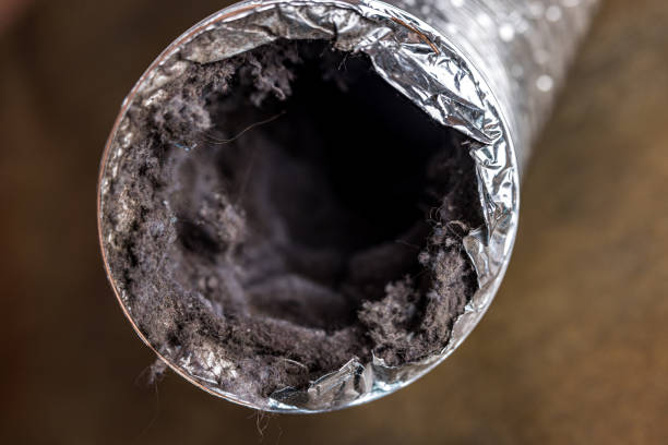 Best HVAC System Cleaning  in North Shore, CA